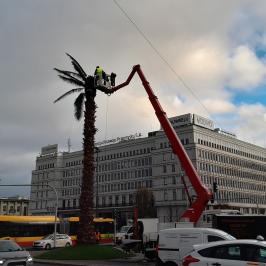 Na zdjęciu palma na rondzie de Gaulle'a, dźwig i samochody podczas wymiany liści