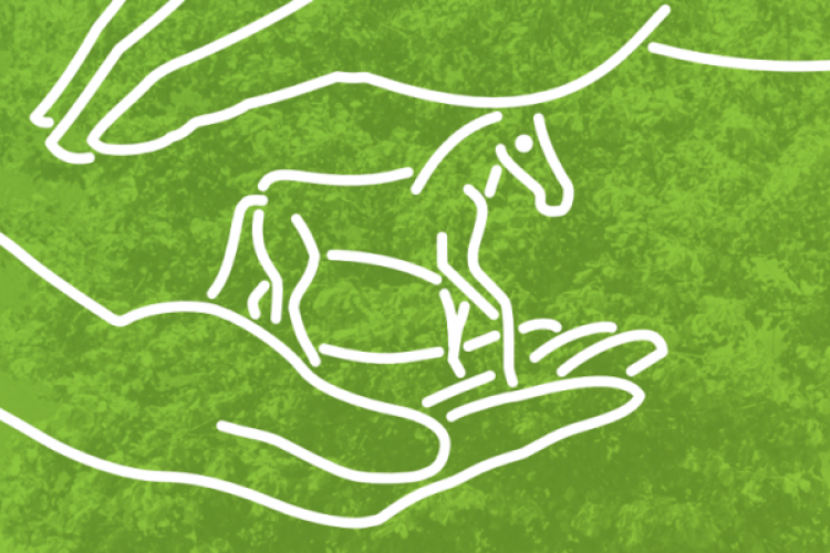 Zarys postaci konia między ludzkimi dłońmi