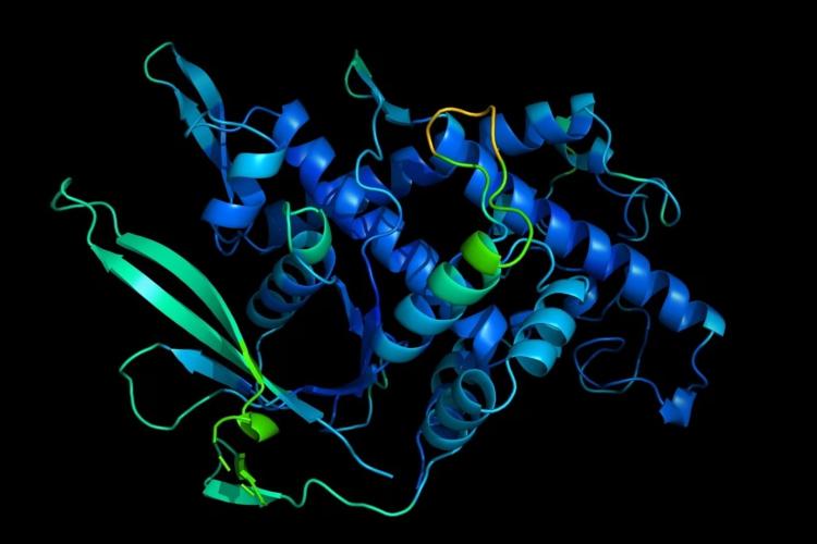 Symulacja trójwymiarowego kształtu białka przez sztuczną inteligencję