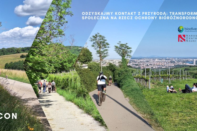 Grafika przedstawia mozaikę czterech fotografii ludzi spędzających czas w naturze. Widać osoby spacerujące z psem po polnej drodze, grupę idącą leśną ścieżką, rowerzystów jadących wśród zielonych wzgórz oraz ludzi odpoczywających na trawie z panoramą miasta w tle. Z prawej strony znajduje się tekst „Odzyskajmy kontakt z przyrodą: transformacja społeczna na rzecz ochrony bioróżnorodności” oraz logotypy Biodiversa+ i Narodowego Centrum Nauki. W lewym dolnym rogu widoczny jest napis RECON.