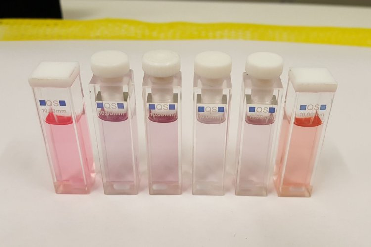 Na zdjęciu: probówki