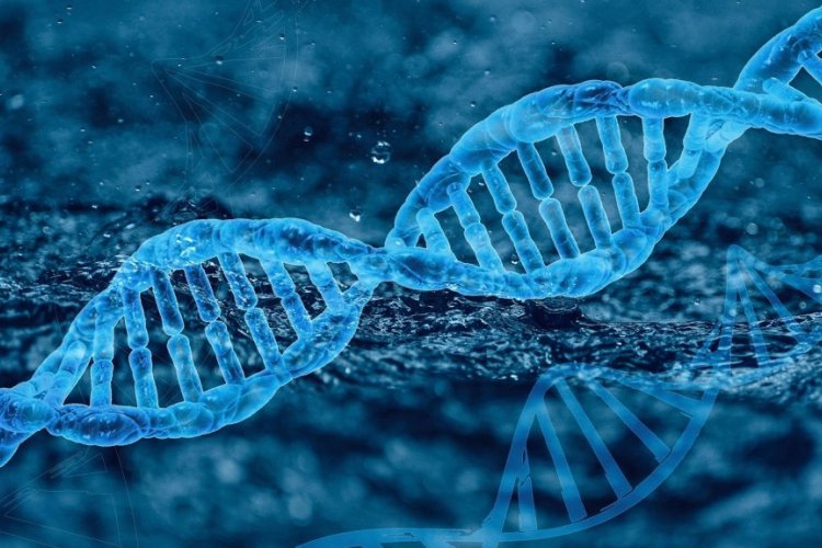 Na zdjęciu: nić DNA, fot. pixabay, autor: Furiosa-L