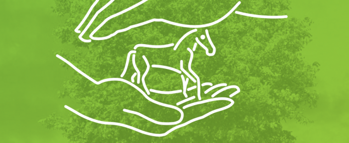 Zarys postaci konia między ludzkimi dłońmi