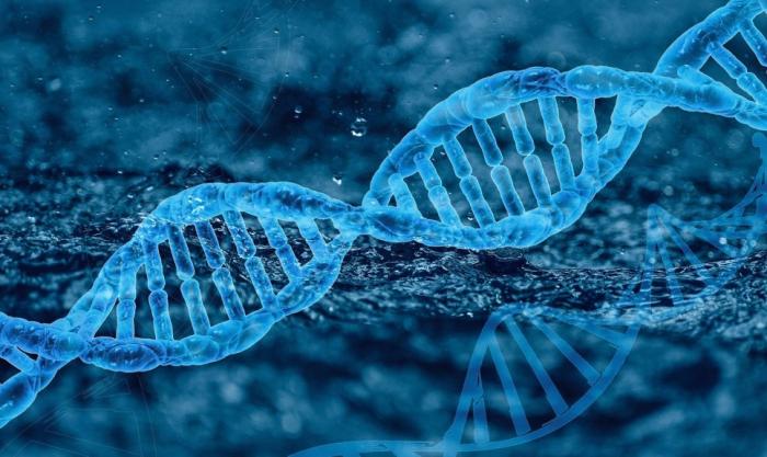 Grafika przedstawiająca DNA