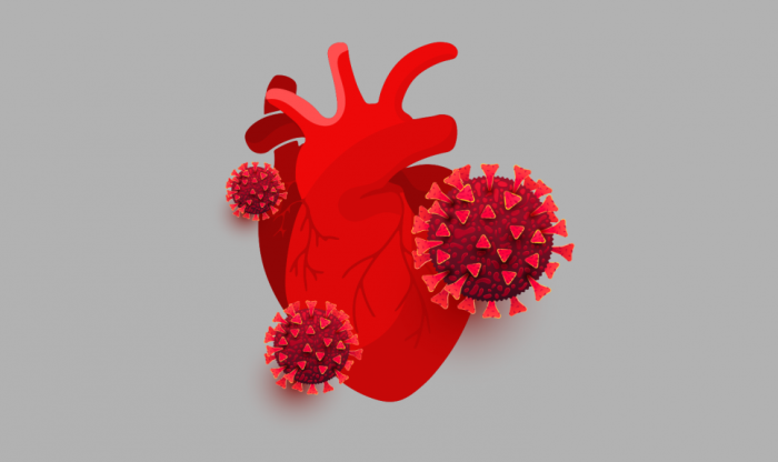 Grafika pokazująca serce i cząsteczki koronawirusa