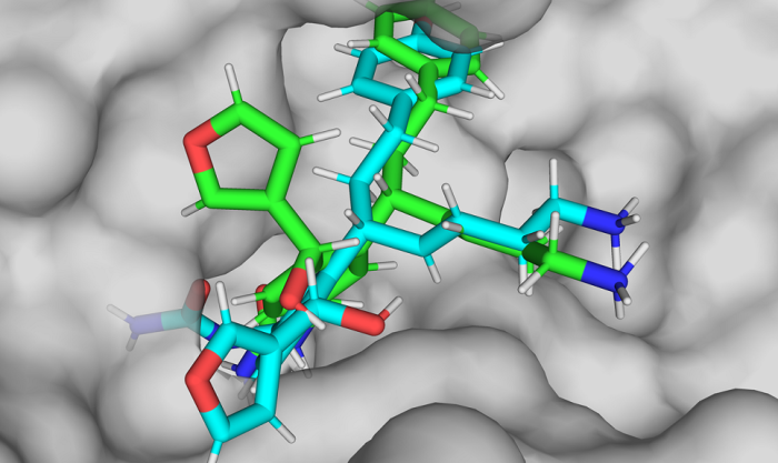 Grafika przedstwiająca zaprojektowane cząsteczki w miejscu wiążącym białka