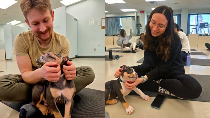 Na zdjęciu Krzysztof Popielski i Katarzyna Matys-Popielska na zajęciach z puppy yogi 