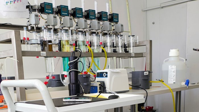 Na zdjęciu: stanowisko pracy stażysty w laboratorium