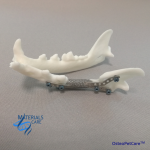 Zdjęcie fragmentu kości wydrukowanego w 3D