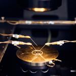 World’s TOP 2% Scientists wskazuje autorów najchętniej cytowanych publikacji.