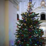 Na zdjęciu choinka w Gmachu Głównym PW